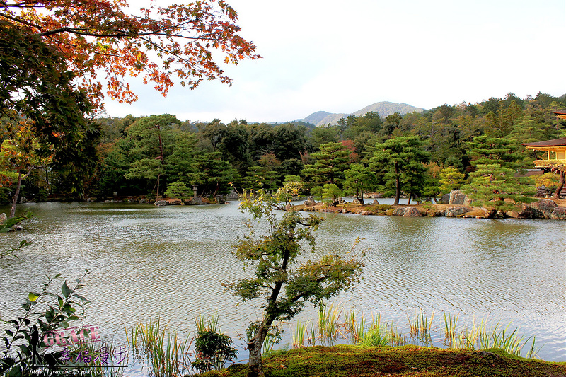 PhotoCap_533