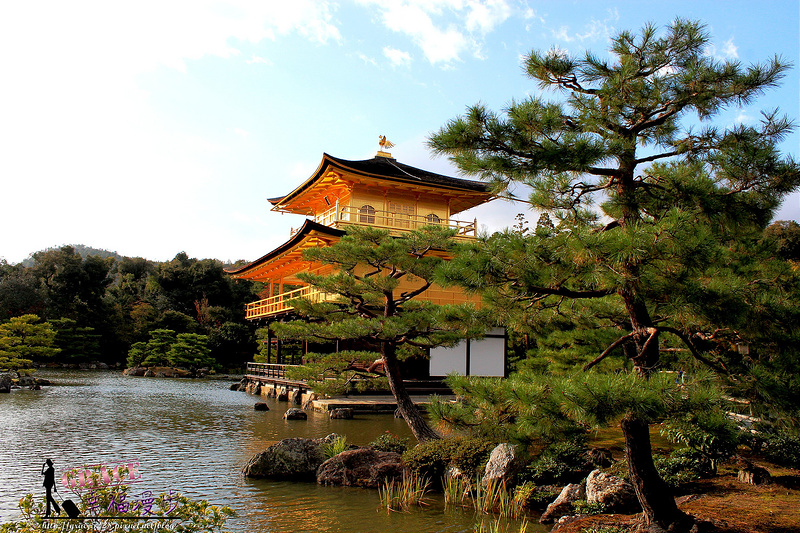 PhotoCap_542