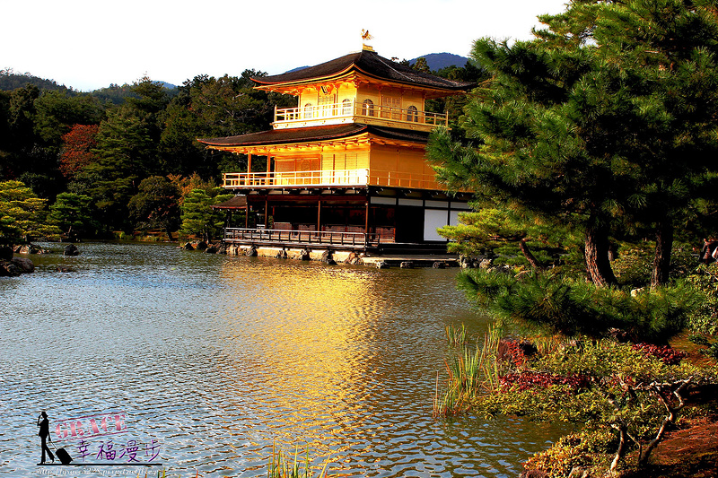 PhotoCap_541