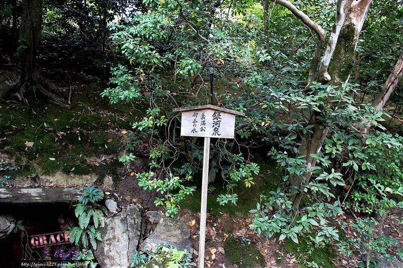 PhotoCap_550