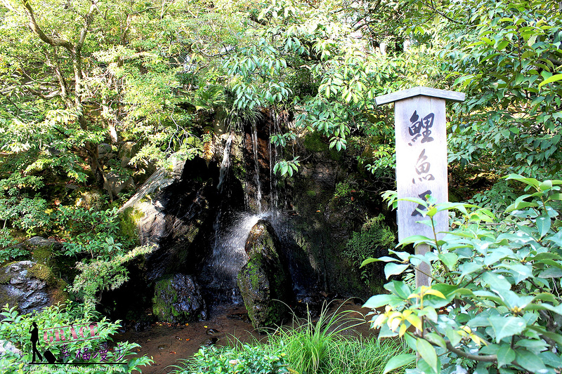 PhotoCap_551