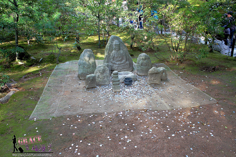 PhotoCap_553