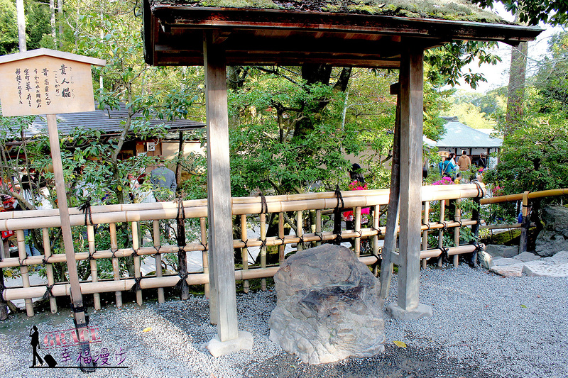 PhotoCap_555