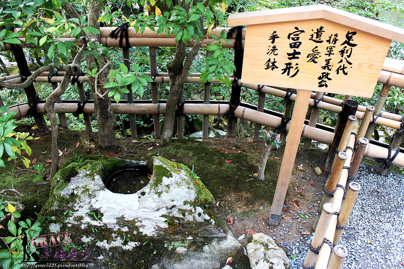 PhotoCap_558