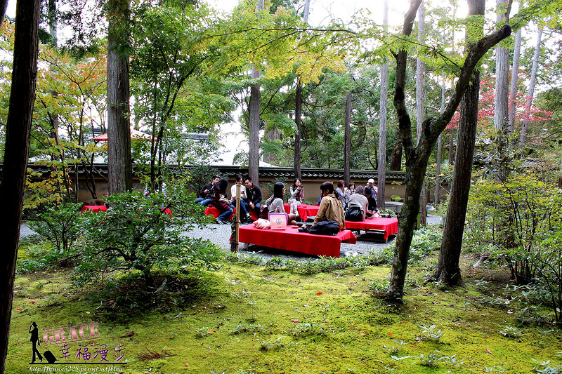 PhotoCap_559