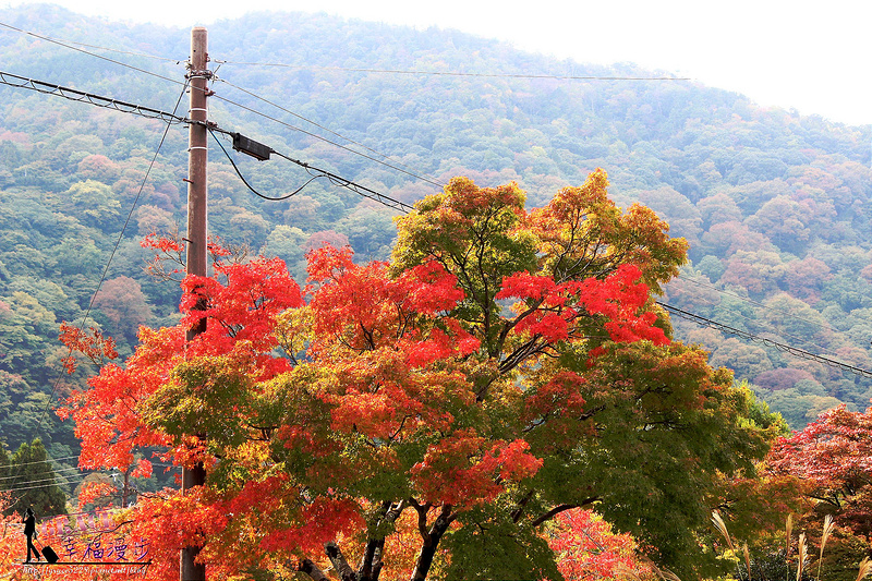 PhotoCap_419 - 複製
