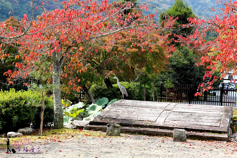 PhotoCap_420