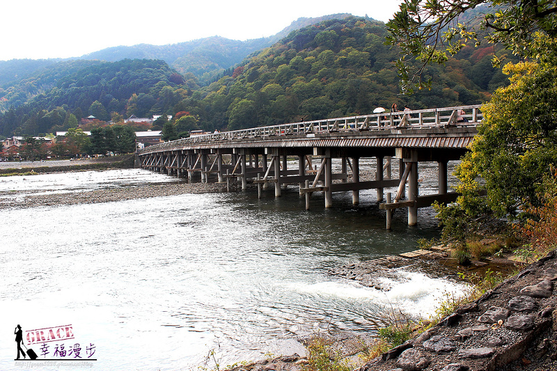 PhotoCap_431