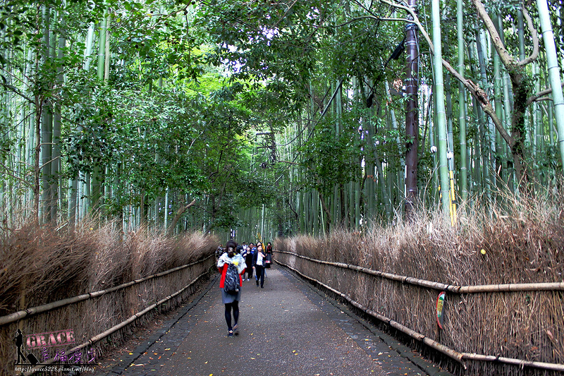 嵐山.嵯峨野