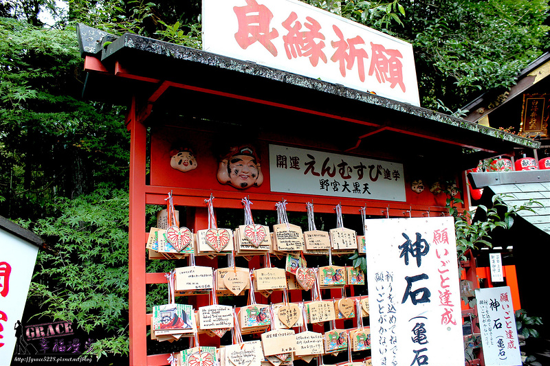 PhotoCap_479