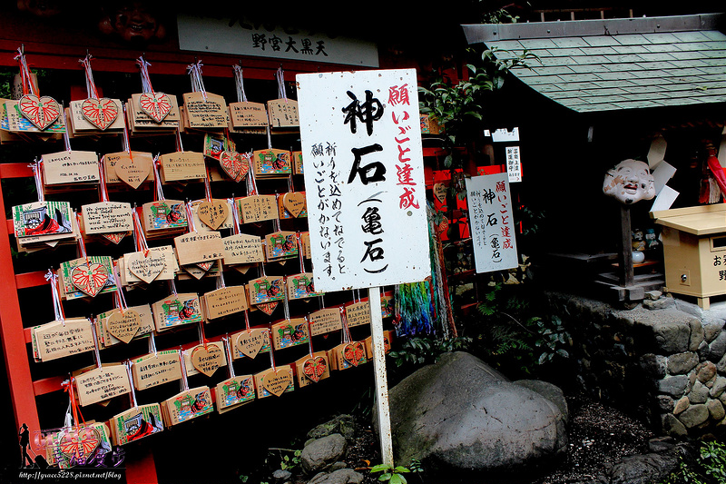 PhotoCap_480