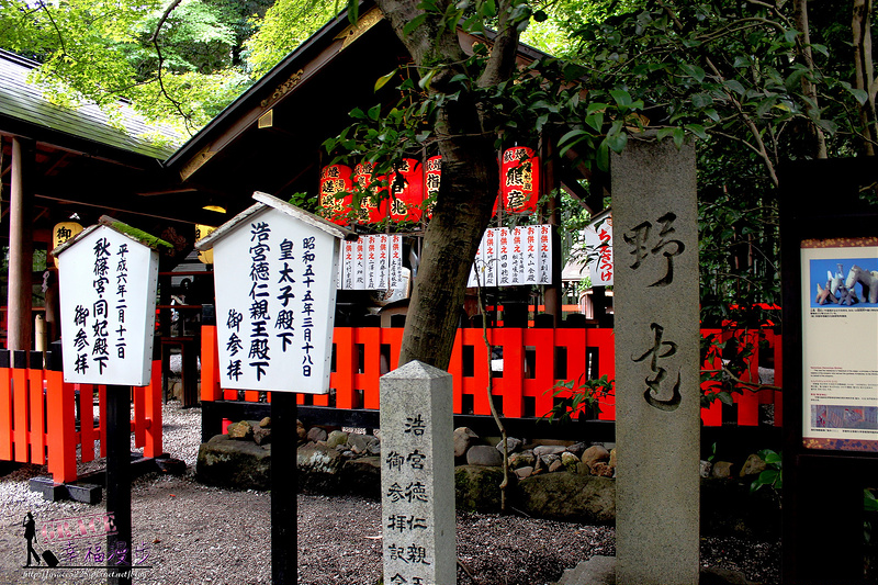 PhotoCap_486