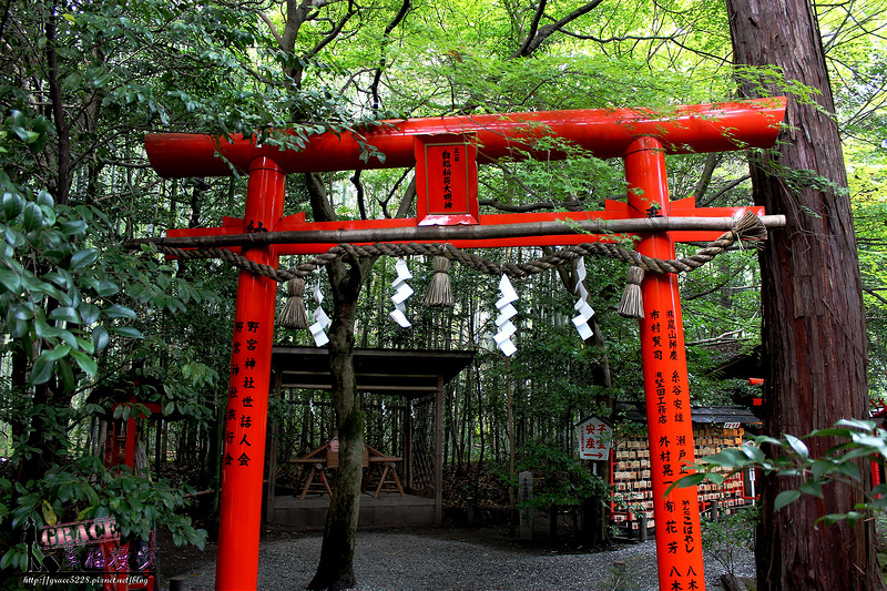PhotoCap_491 - 複製