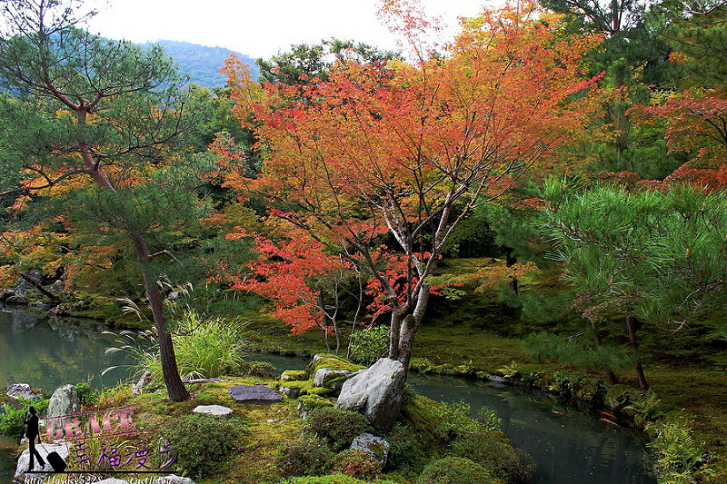PhotoCap_351