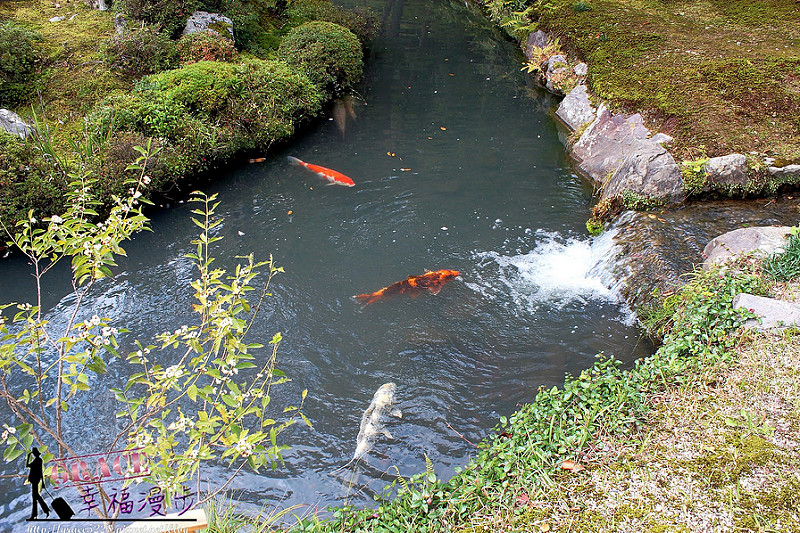 PhotoCap_352