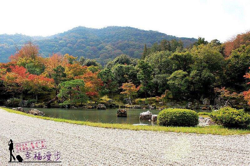 PhotoCap_371