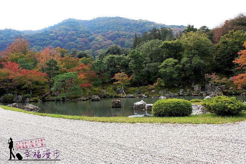 PhotoCap_374