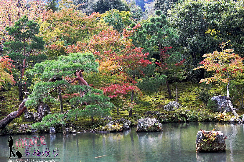 PhotoCap_375