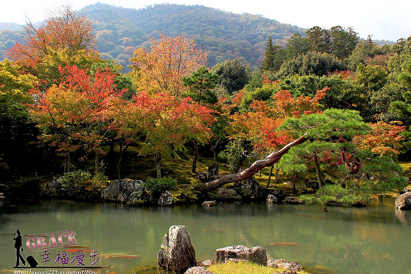 PhotoCap_385