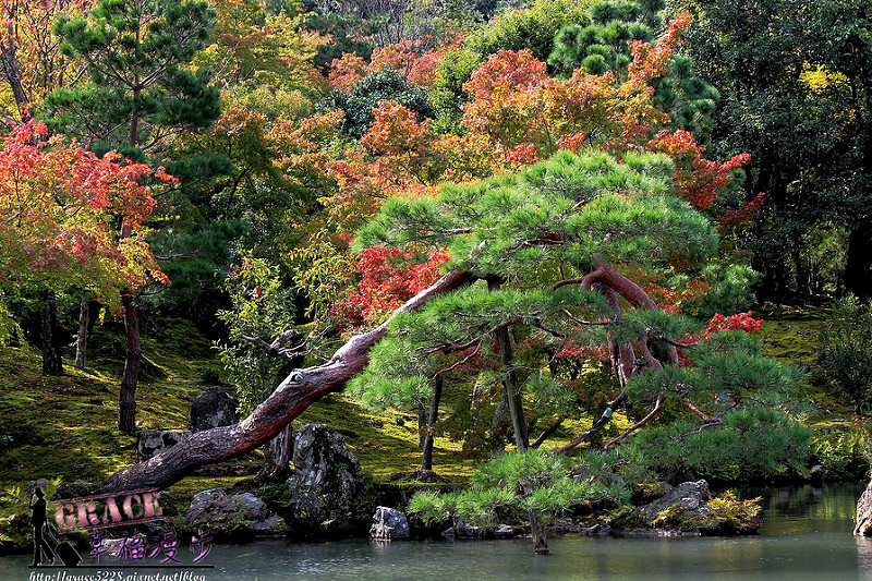 PhotoCap_381