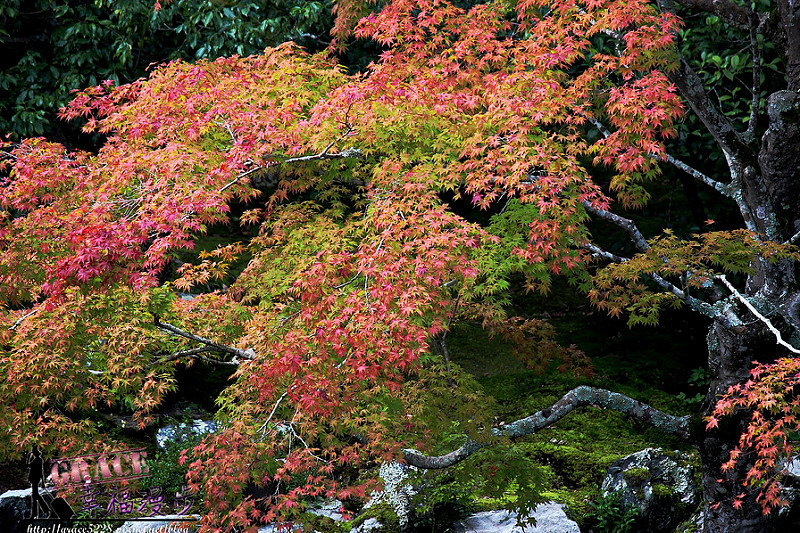 PhotoCap_380
