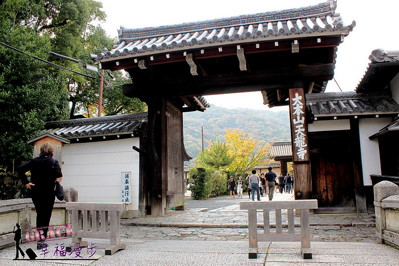 PhotoCap_423