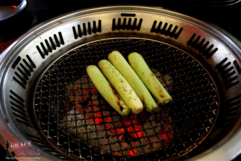 PhotoCap_248