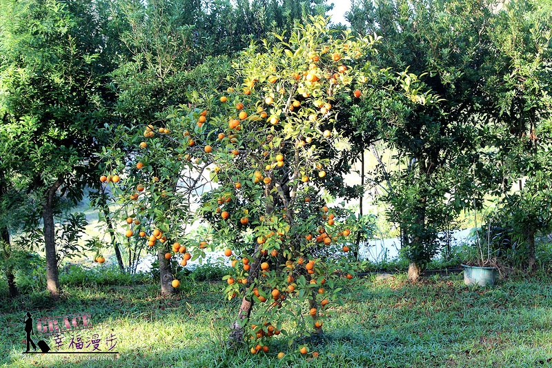 PhotoCap_384