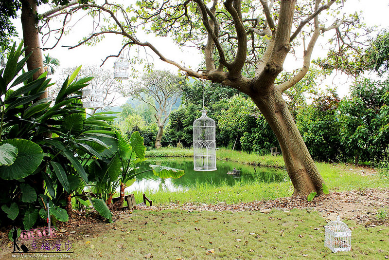 PhotoCap_251