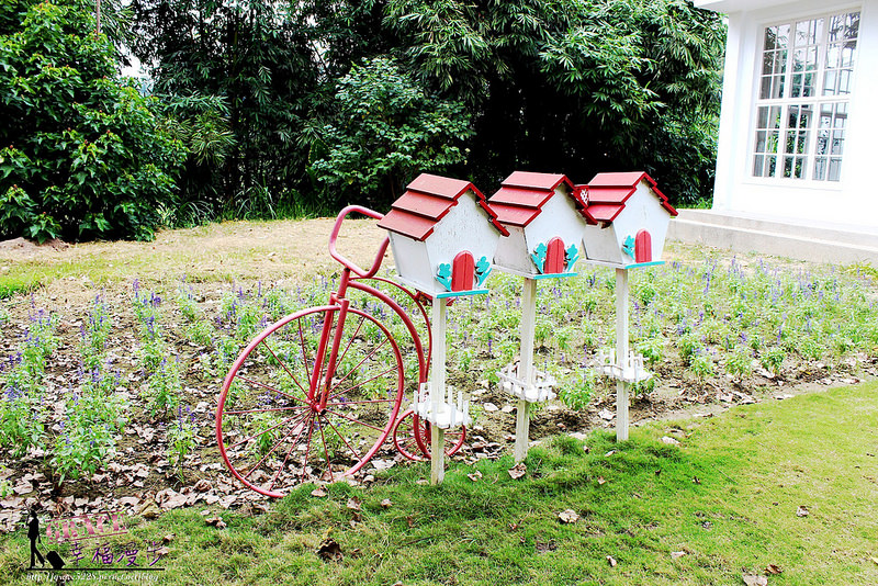 PhotoCap_246