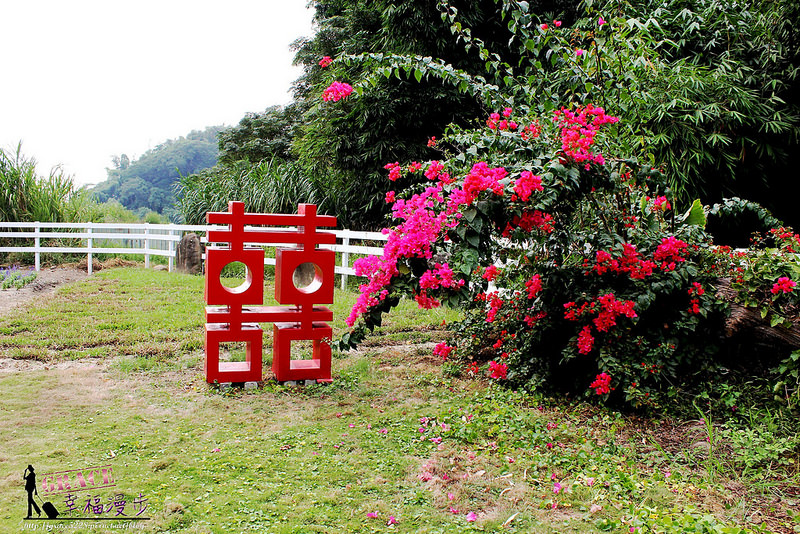 PhotoCap_263