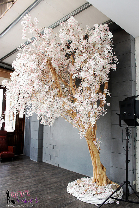 PhotoCap_278