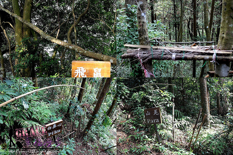 PhotoCap_53
