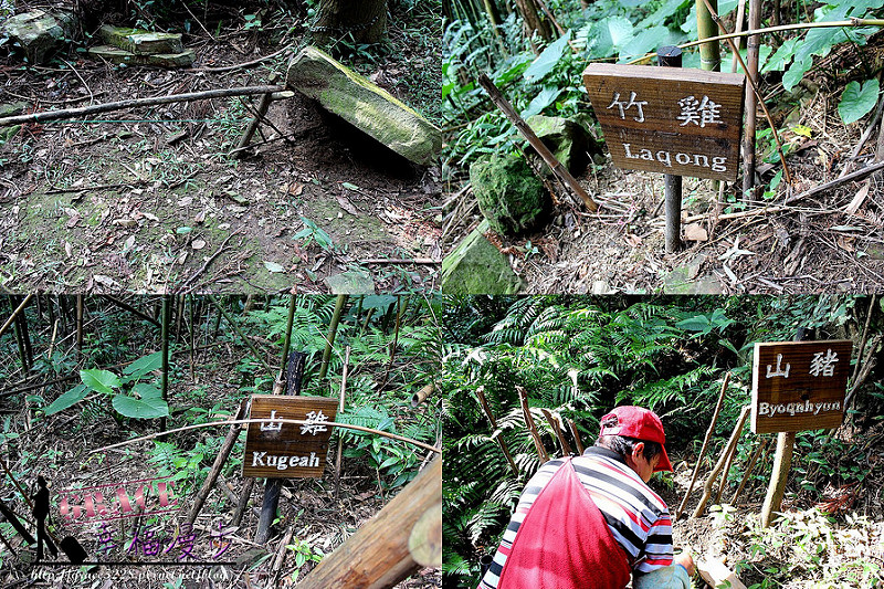 PhotoCap_54