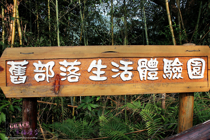 PhotoCap_IMG_5434