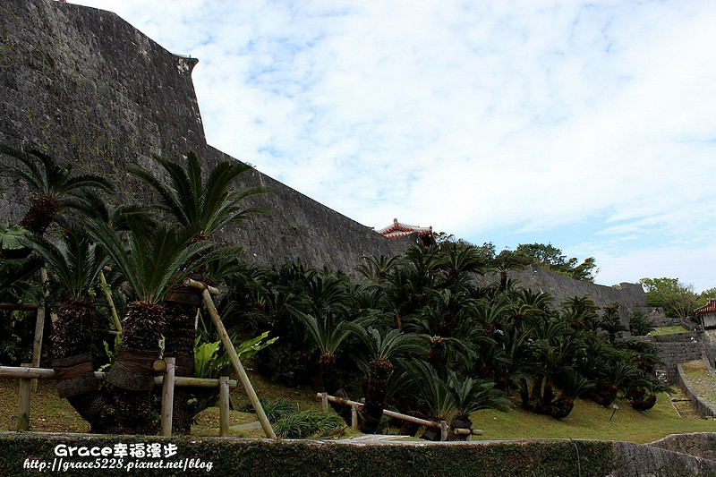 PhotoCap_IMG_7826