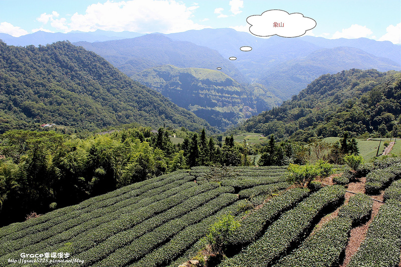 生力茶業銪茗堂茶園