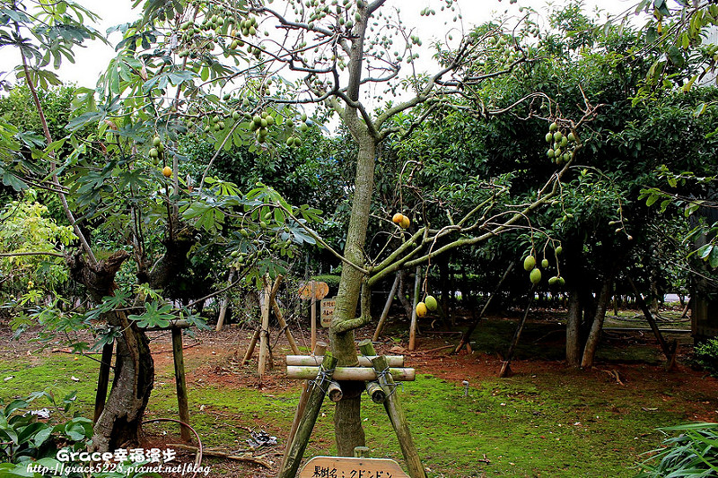 王國村
