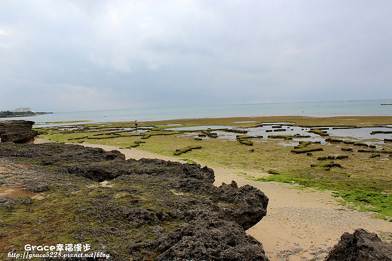 PhotoCap_IMG_7485
