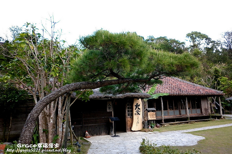 PhotoCap_P1000108