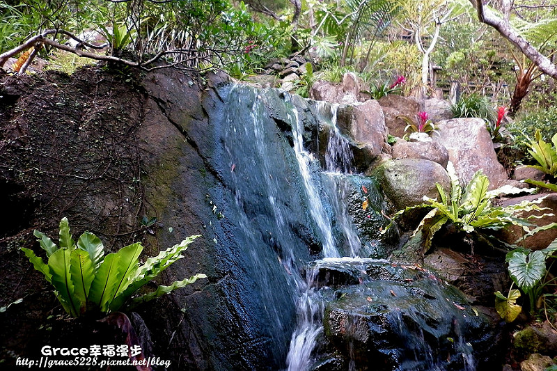PhotoCap_P1000110