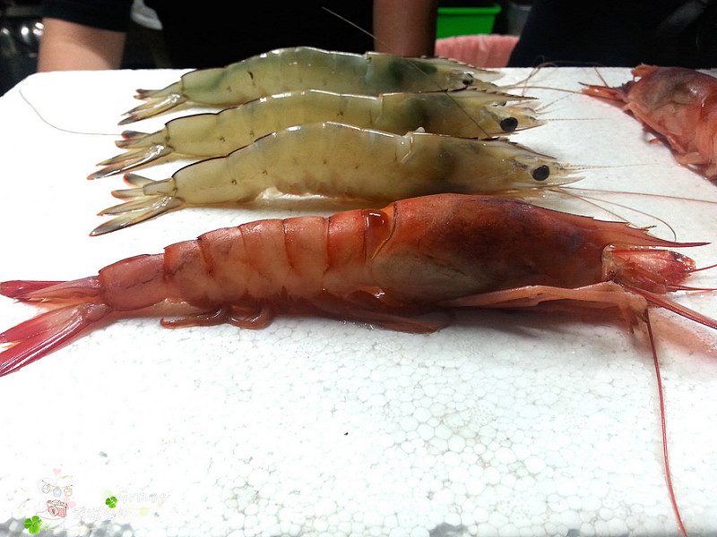 PhotoCap_20140313_185828
