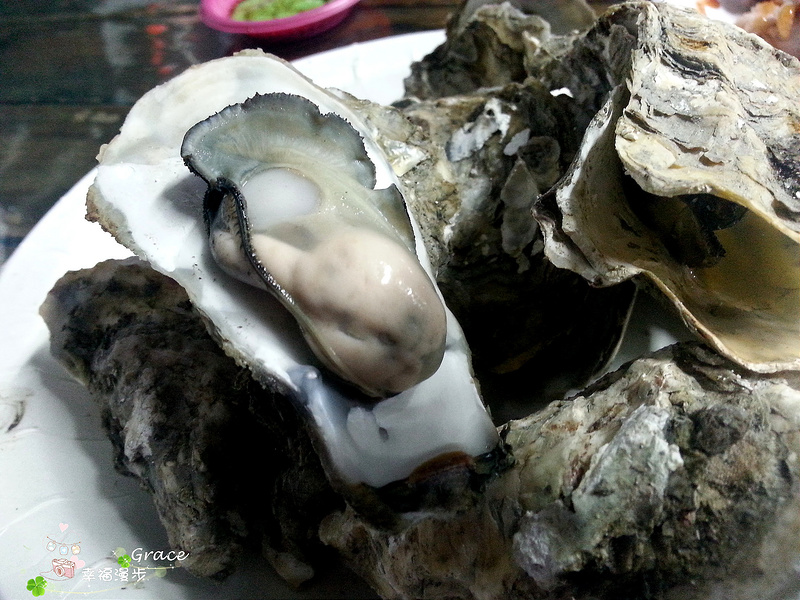 PhotoCap_20140313_182717 - 複製