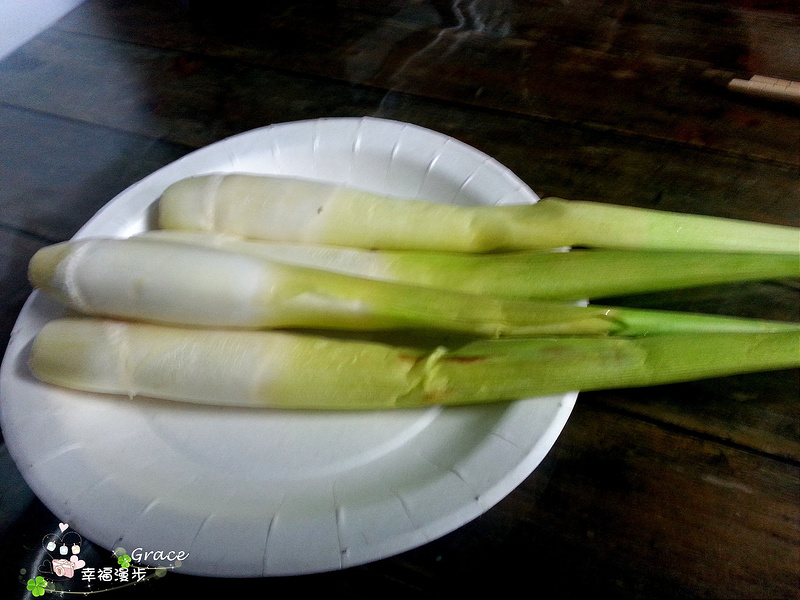 PhotoCap_20140313_182757 - 複製
