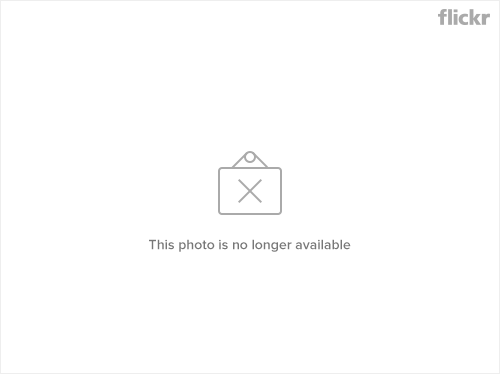PhotoCap_IMG_6811
