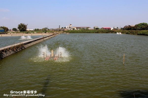 PhotoCap_IMG_5179