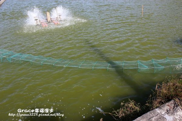 PhotoCap_IMG_5196 親親小旅行