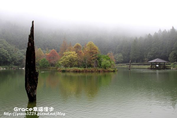 PhotoCap_IMG_4742 宜蘭明池森林遊樂園區