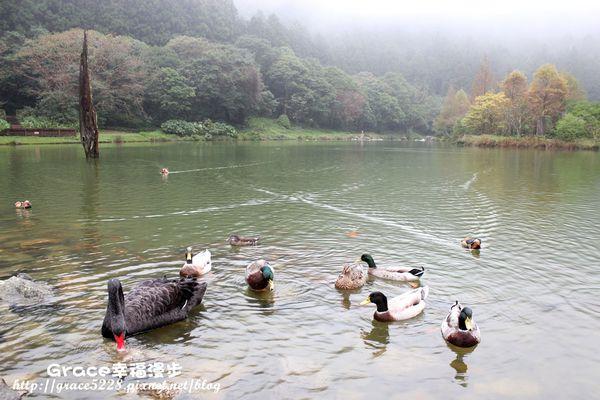 PhotoCap_IMG_4749 宜蘭明池森林遊樂園區