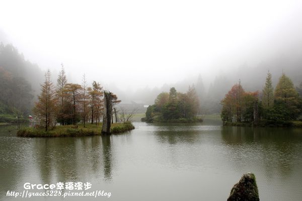 PhotoCap_IMG_4771 PhotoCap_IMG_4771